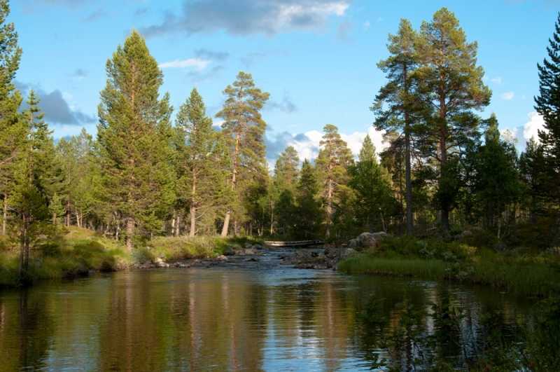 łowienie w skandynawii